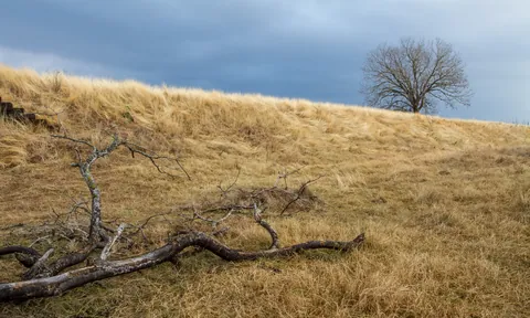 Stormy Hill, James Kiehl River Bend Park