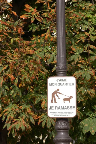 Clean up after your doggie!