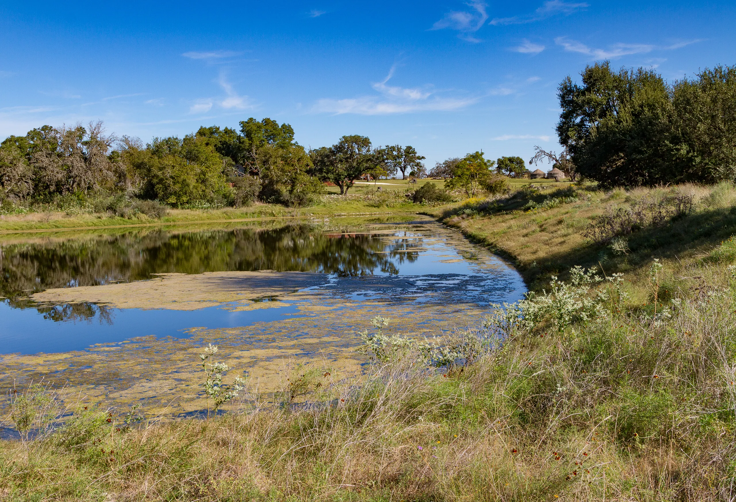 Canyon Wren Ranch - Back Pond