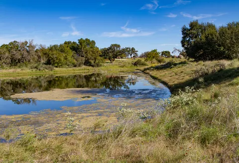 Canyon Wren Ranch - Back Pond