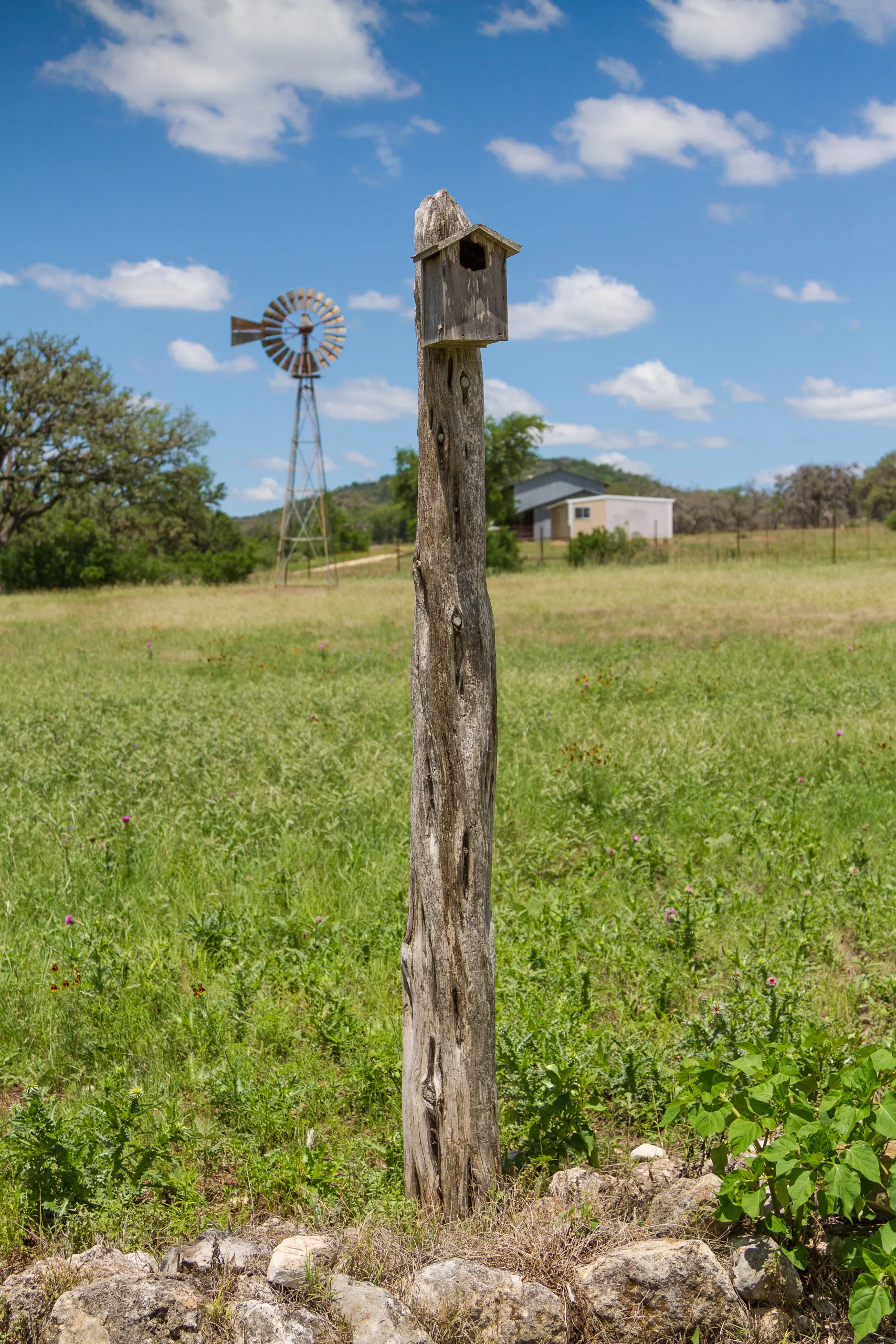 Birdhouse and Windmill, Canyon Wren Ranch