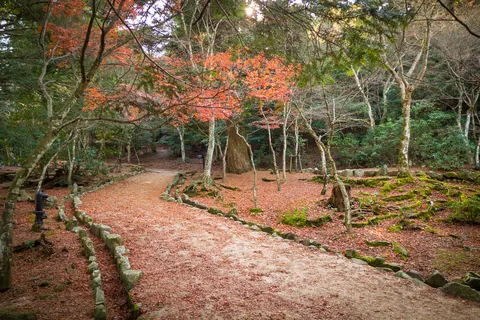 Parkland and Autumn Colours on Mount Misen, Miyajima