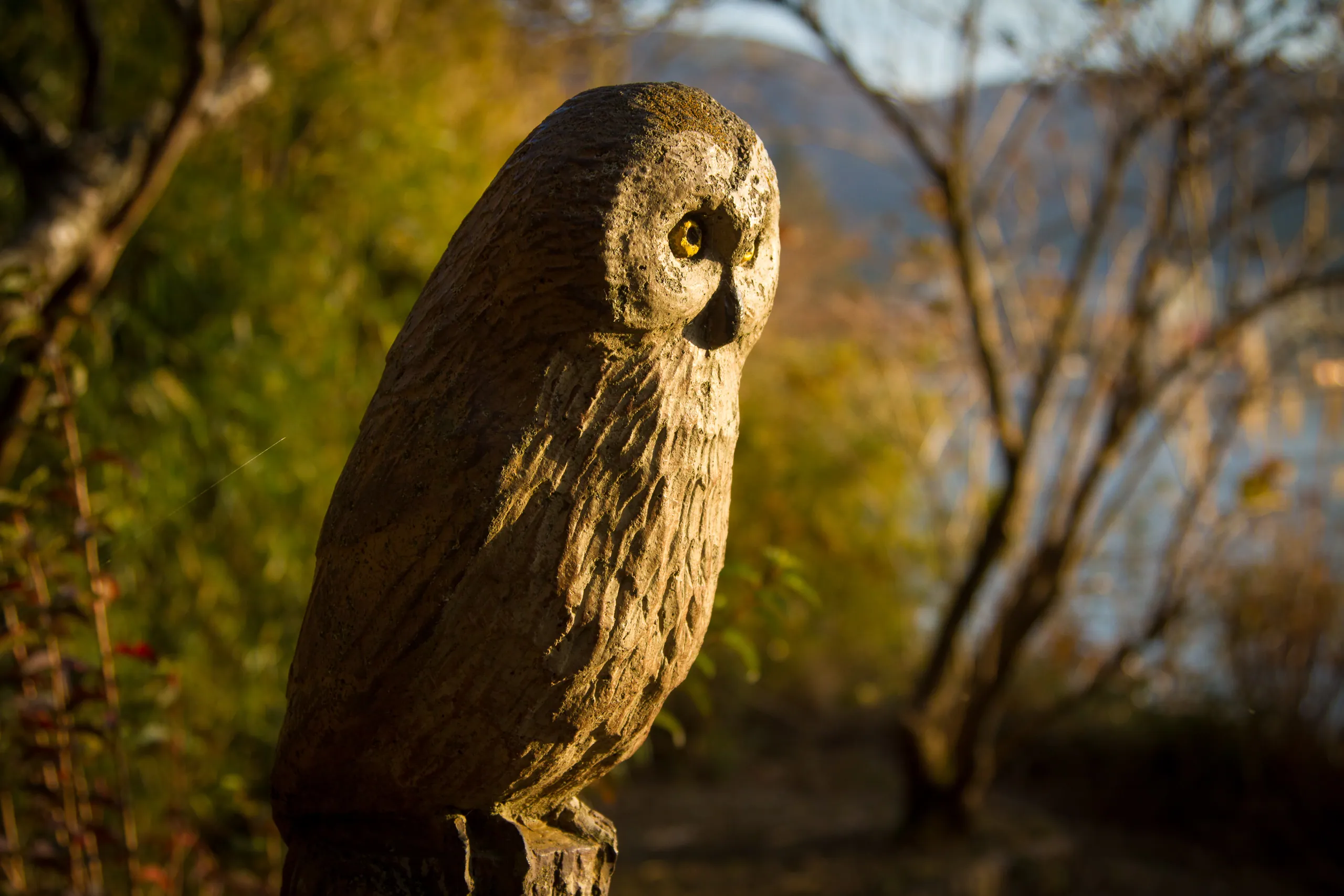 Wooden Owl in Hakone Detached Palace Garden
