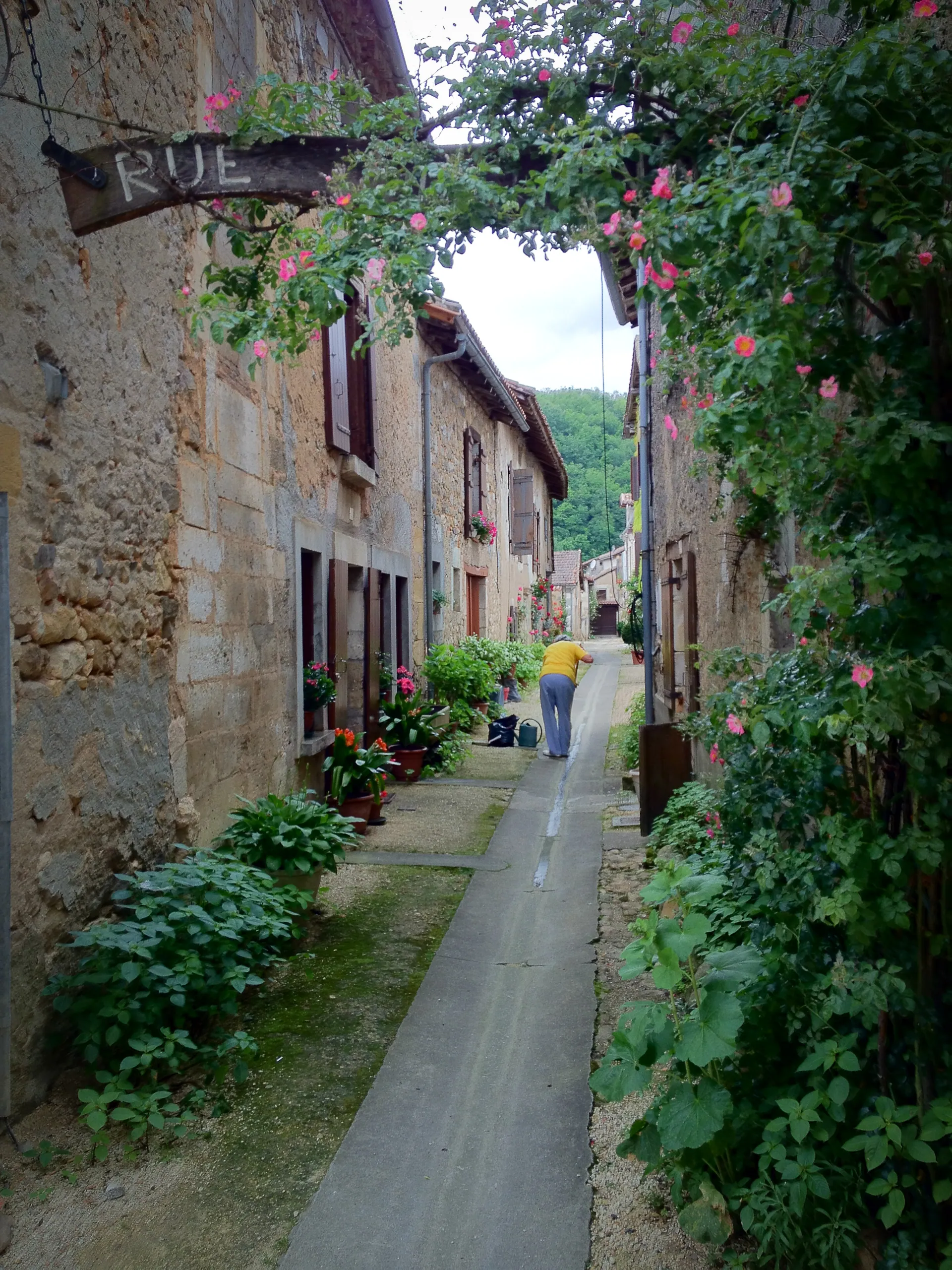 Rural Alley, St-Jean-de-Cole