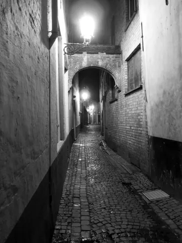 The Alleyway, Bruges