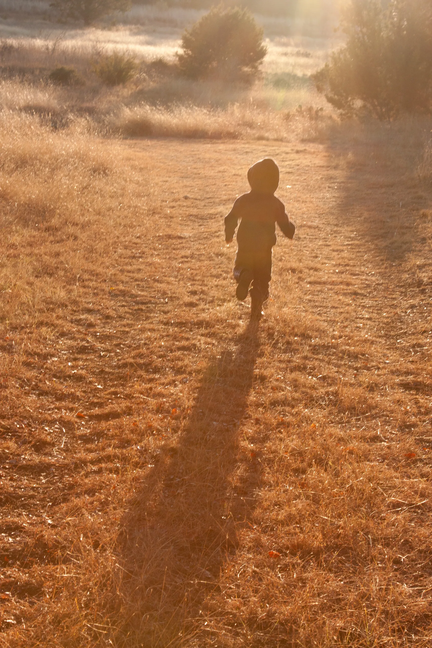 Running Sunset Child, Canyon Wren Ranch