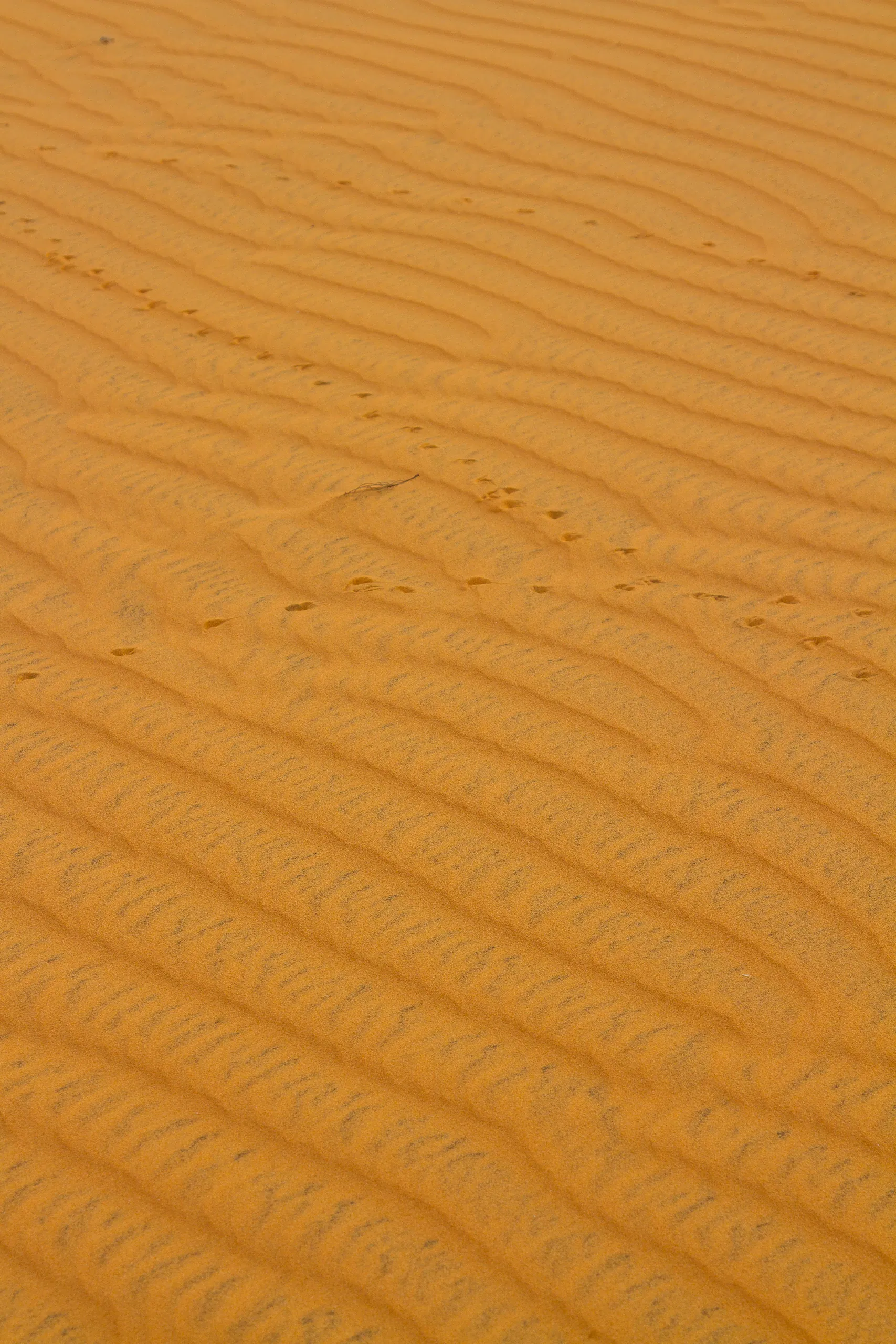 Red Sand Dunes, Mui Ne