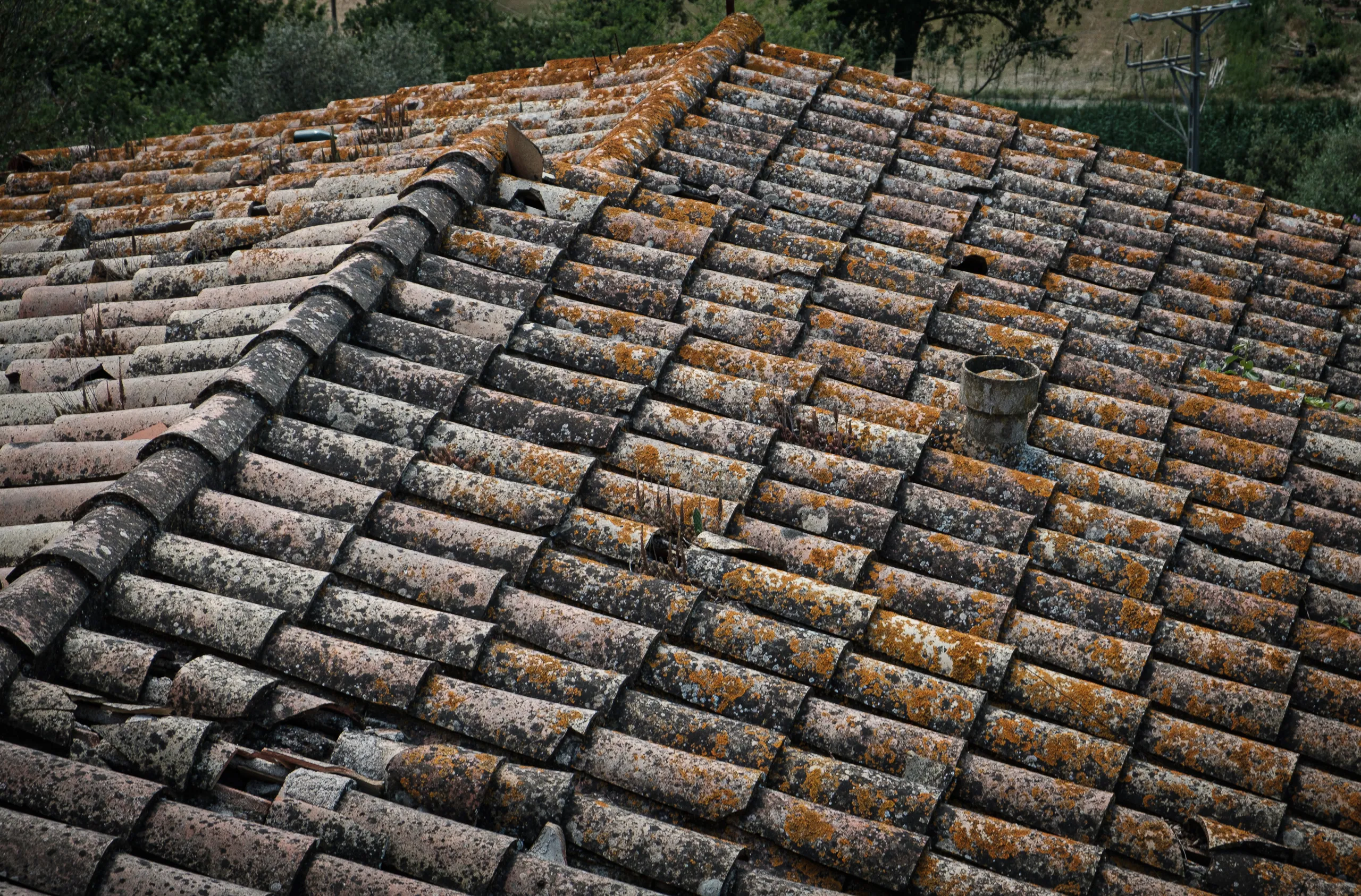 Pals Roof