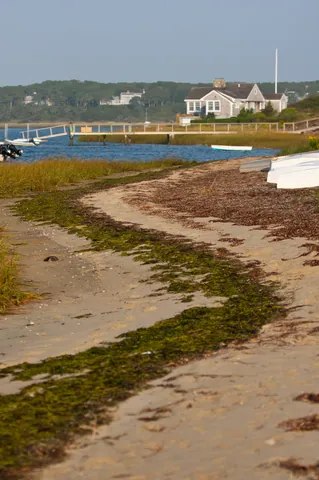 Beach Waterline, Stage Harbor