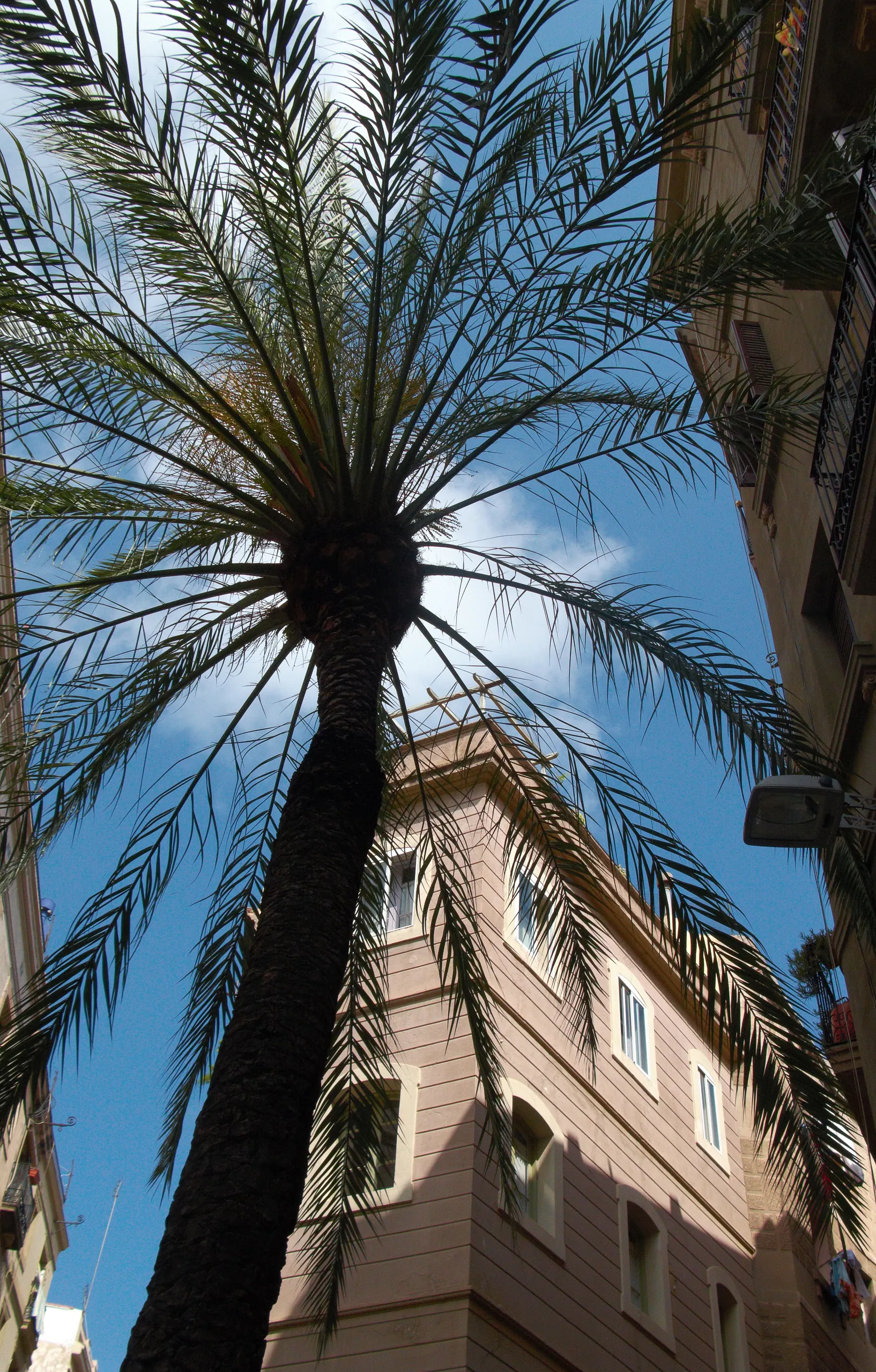 Looking out of the Raval