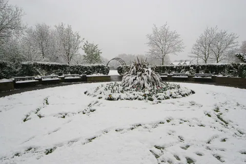 Entrance to Paddington Rec