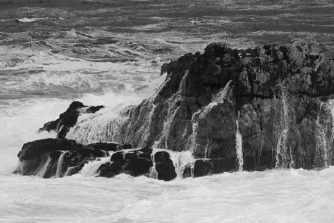 Hermanus