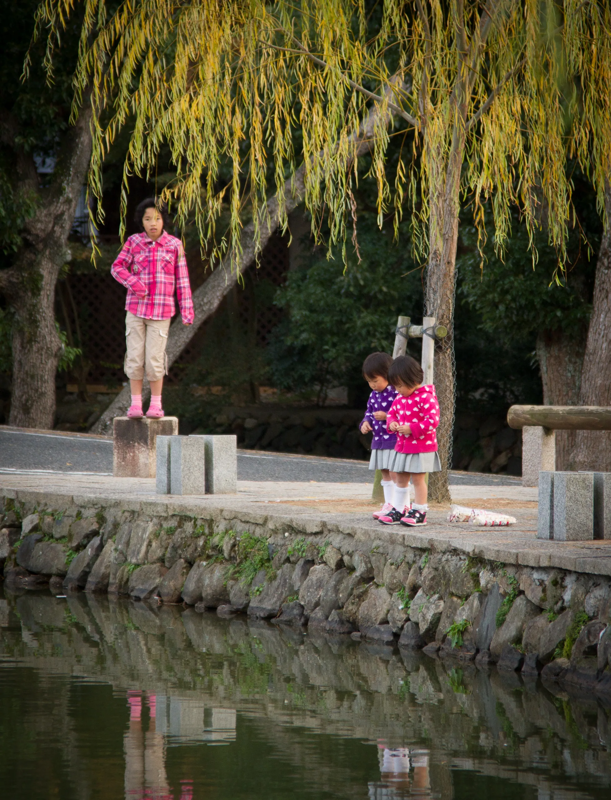 Twins, Nara