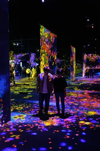 Epson Teamlab Borderless